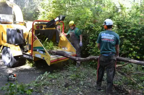 tree services Grundy Center